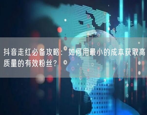 抖音走红必备攻略：如何用最小的成本获取高质量的有效粉丝？