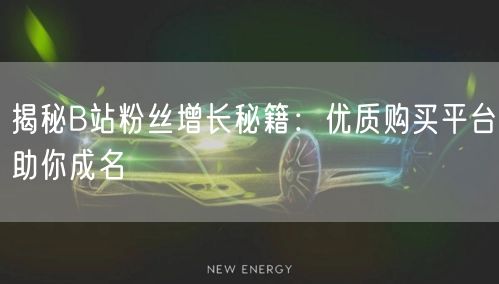 揭秘B站粉丝增长秘籍：优质购买平台助你成名