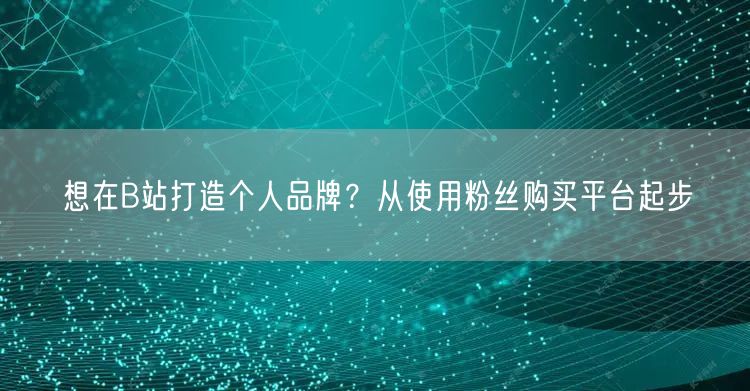 想在B站打造个人品牌？从使用粉丝购买平台起步