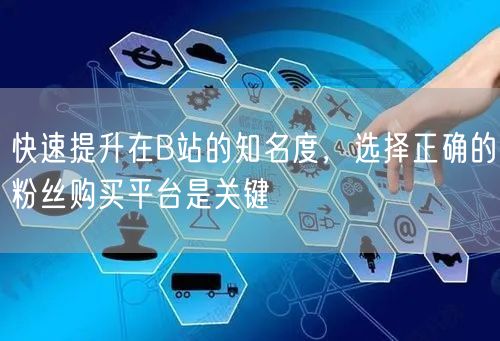 快速提升在B站的知名度，选择正确的粉丝购买平台是关键