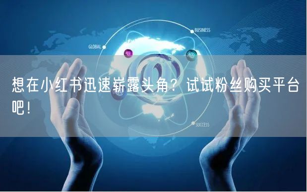 想在小红书迅速崭露头角？试试粉丝购买平台吧！