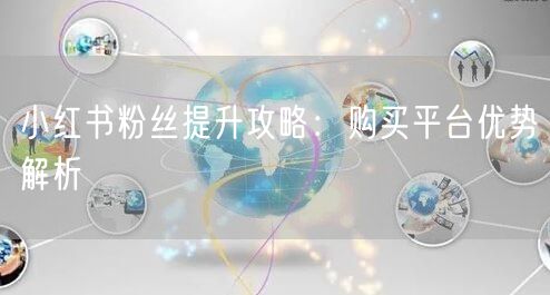 小红书粉丝提升攻略：购买平台优势解析