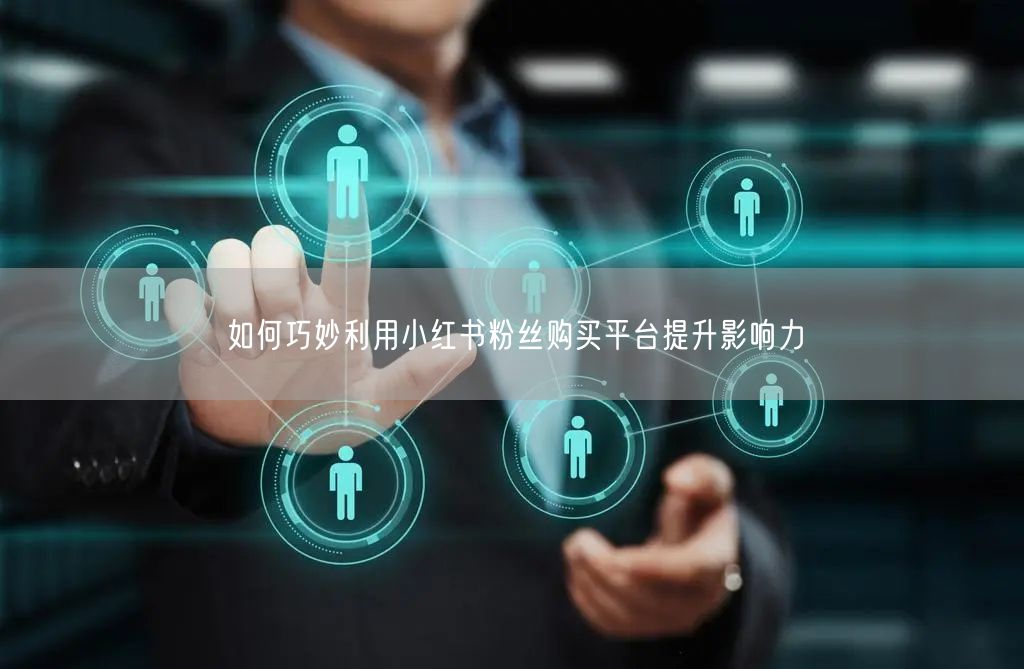 如何巧妙利用小红书粉丝购买平台提升影响力