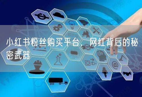 小红书粉丝购买平台，网红背后的秘密武器