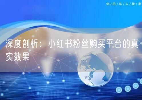 深度剖析：小红书粉丝购买平台的真实效果