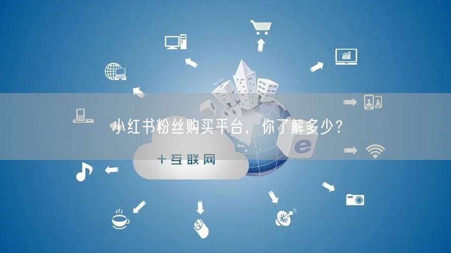 小红书粉丝购买平台，你了解多少？