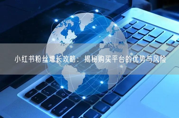 小红书粉丝增长攻略：揭秘购买平台的优势与风险