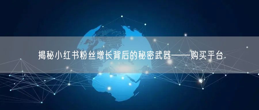 揭秘小红书粉丝增长背后的秘密武器——购买平台