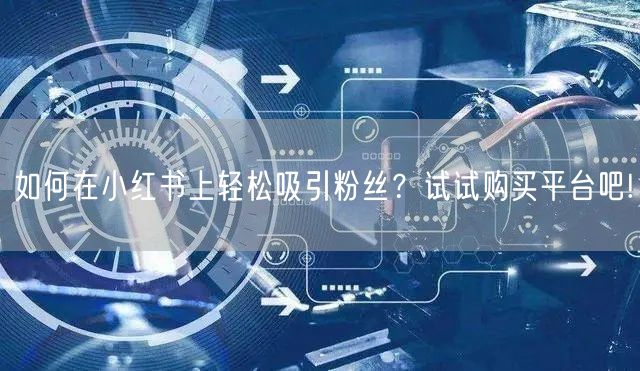 如何在小红书上轻松吸引粉丝？试试购买平台吧!
