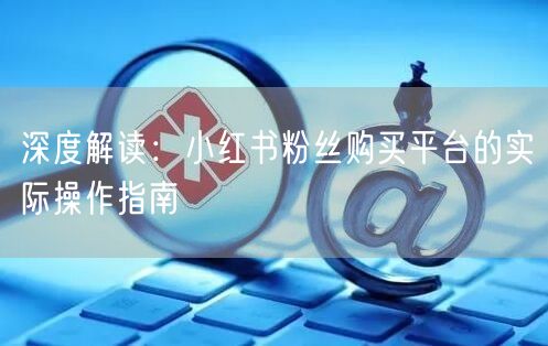 深度解读：小红书粉丝购买平台的实际操作指南