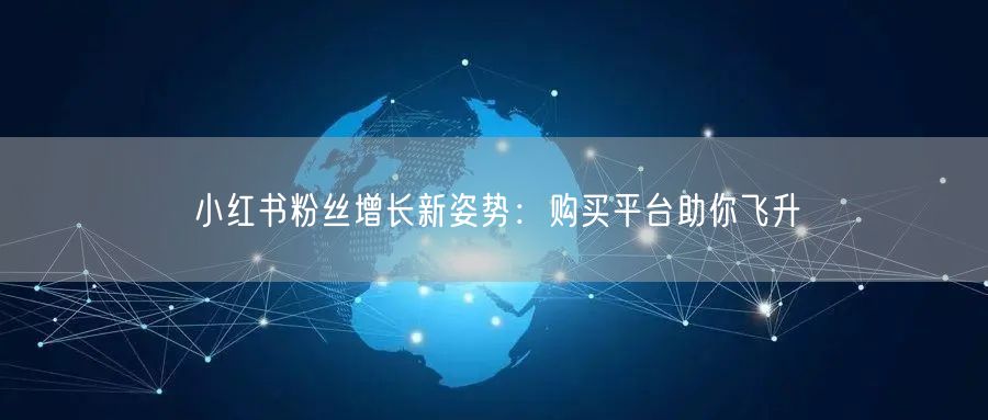 小红书粉丝增长新姿势：购买平台助你飞升