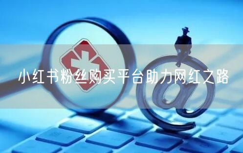 小红书粉丝购买平台助力网红之路