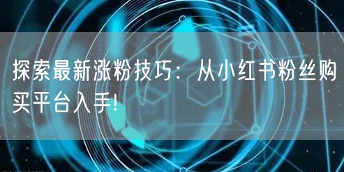 探索最新涨粉技巧：从小红书粉丝购买平台入手!