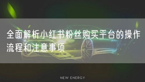 全面解析小红书粉丝购买平台的操作流程和注意事项