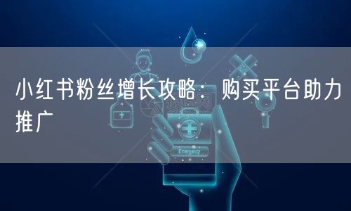小红书粉丝增长攻略：购买平台助力推广