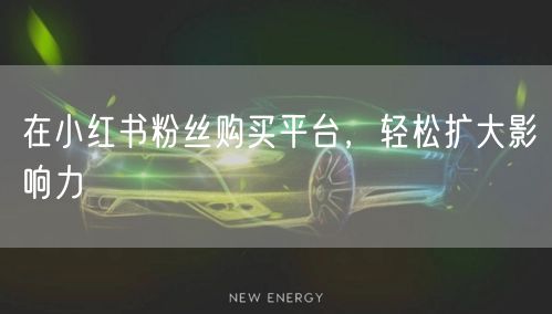在小红书粉丝购买平台，轻松扩大影响力
