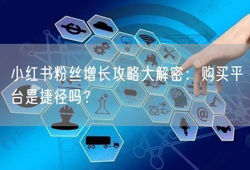 小红书粉丝增长攻略大解密：购买平台是捷径吗？