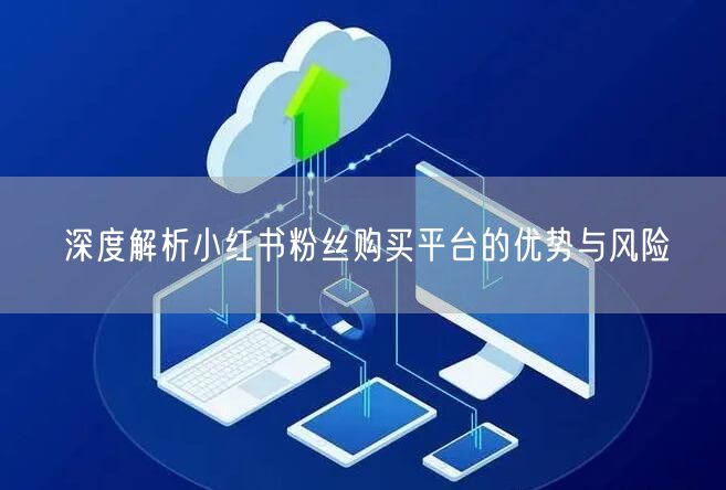 深度解析小红书粉丝购买平台的优势与风险