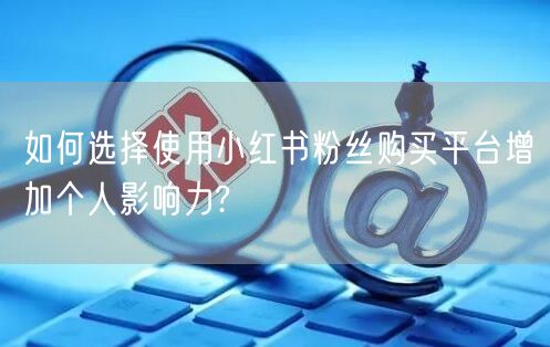 如何选择使用小红书粉丝购买平台增加个人影响力?