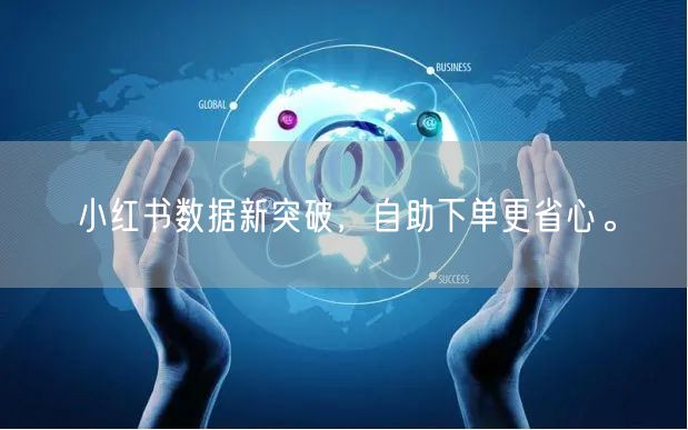 小红书数据新突破，自助下单更省心。
