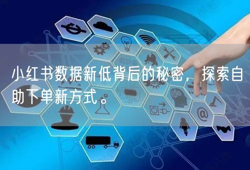 小红书数据新低背后的秘密，探索自助下单新方式。