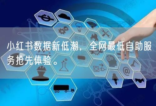 小红书数据新低潮，全网最低自助服务抢先体验。