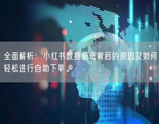 全面解析：小红书数据新低背后的原因及如何轻松进行自助下单。