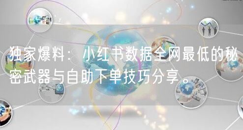 独家爆料：小红书数据全网最低的秘密武器与自助下单技巧分享。