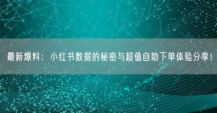 最新爆料：小红书数据的秘密与超值自助下单体验分享！