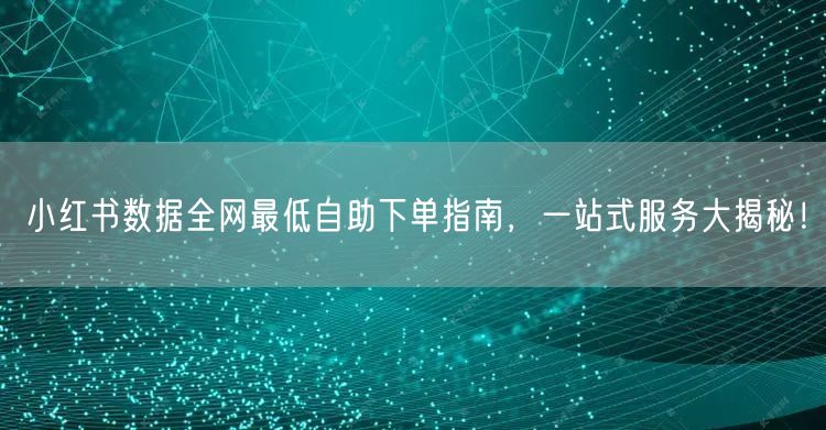 小红书数据全网最低自助下单指南，一站式服务大揭秘！