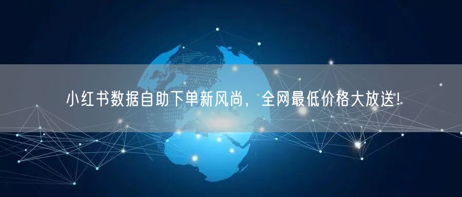 小红书数据自助下单新风尚，全网最低价格大放送！