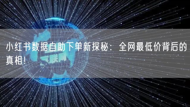 小红书数据自助下单新探秘：全网最低价背后的真相！
