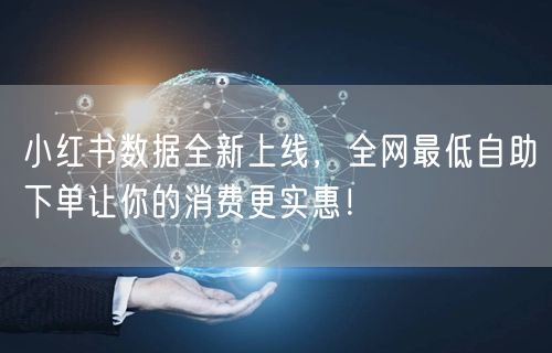 小红书数据全新上线，全网最低自助下单让你的消费更实惠！