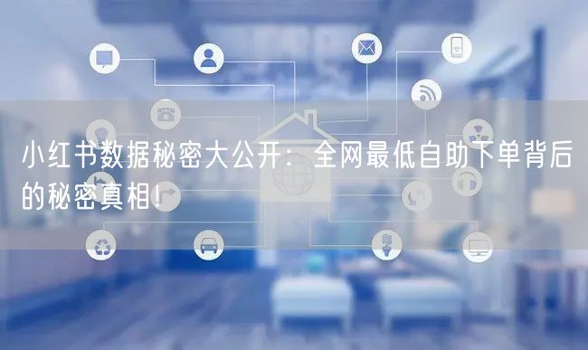 小红书数据秘密大公开：全网最低自助下单背后的秘密真相！