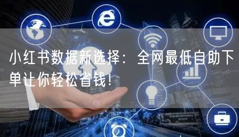 小红书数据新选择：全网最低自助下单让你轻松省钱！