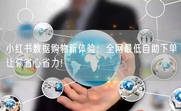 小红书数据购物新体验：全网最低自助下单让你省心省力！