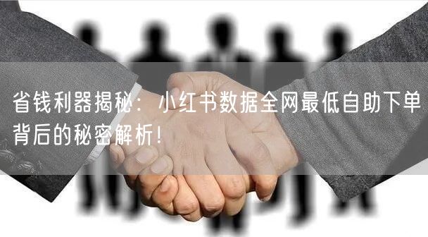 省钱利器揭秘：小红书数据全网最低自助下单背后的秘密解析！