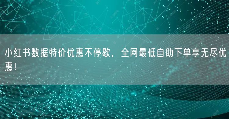 小红书数据特价优惠不停歇，全网最低自助下单享无尽优惠！
