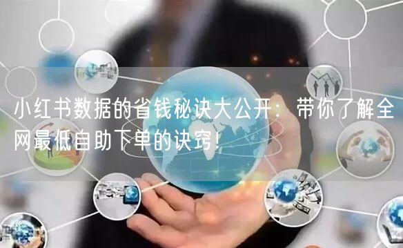 小红书数据的省钱秘诀大公开：带你了解全网最低自助下单的诀窍！
