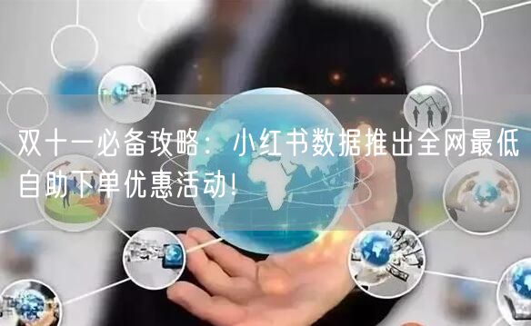 双十一必备攻略：小红书数据推出全网最低自助下单优惠活动！