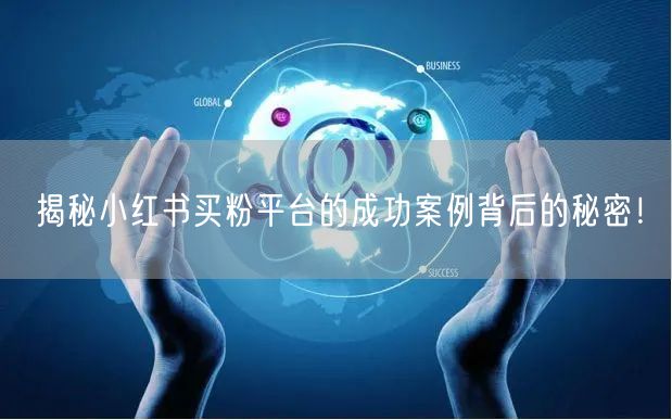 揭秘小红书买粉平台的成功案例背后的秘密！