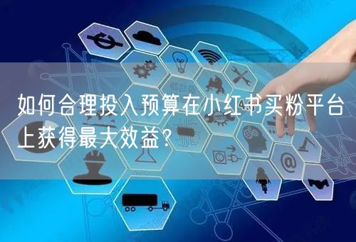 如何合理投入预算在小红书买粉平台上获得最大效益？