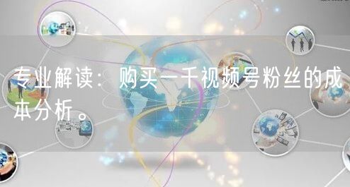 专业解读：购买一千视频号粉丝的成本分析。